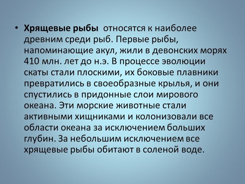 Хрящевые рыбы относятся к наиболее древним среди рыб