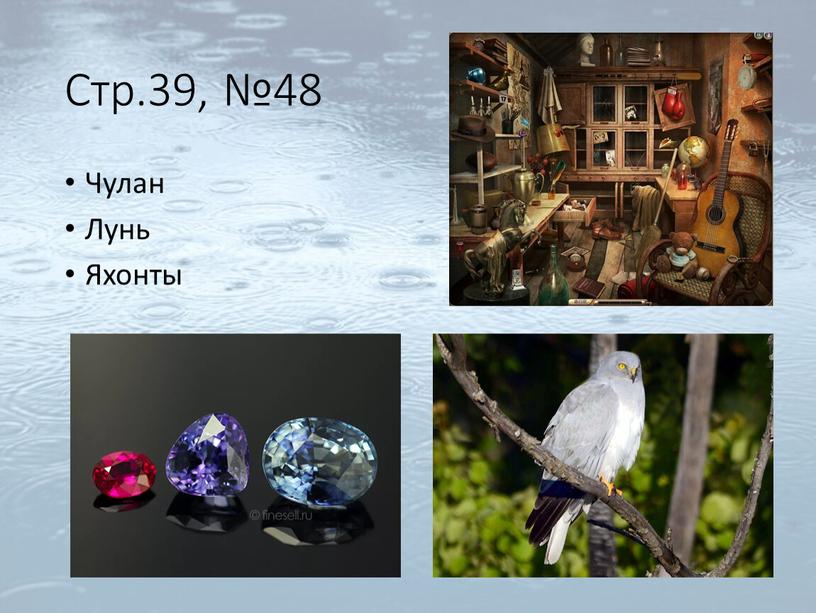 Стр.39, №48 Чулан Лунь Яхонты