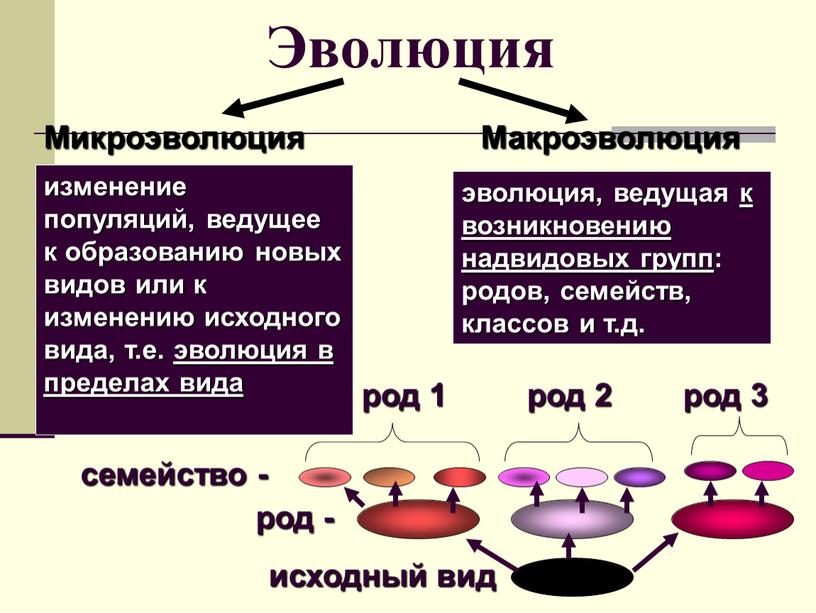 Эволюция Микроэволюция Макроэволюция изменение популяций, ведущее к образованию новых видов или к изменению исходного вида, т