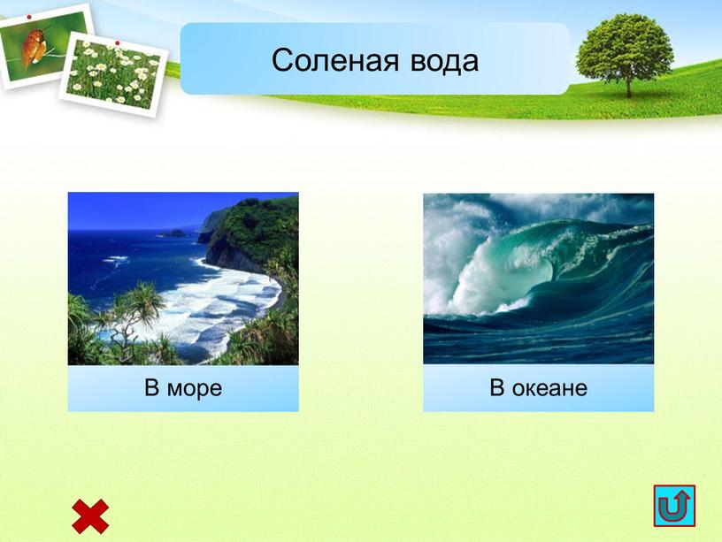 Соленая вода В океане В море