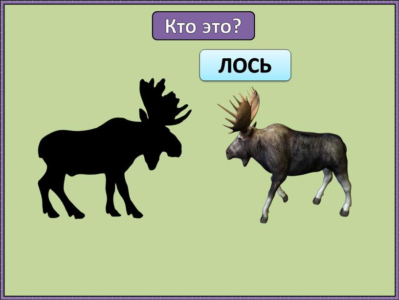 Кто это? ЛОСЬ