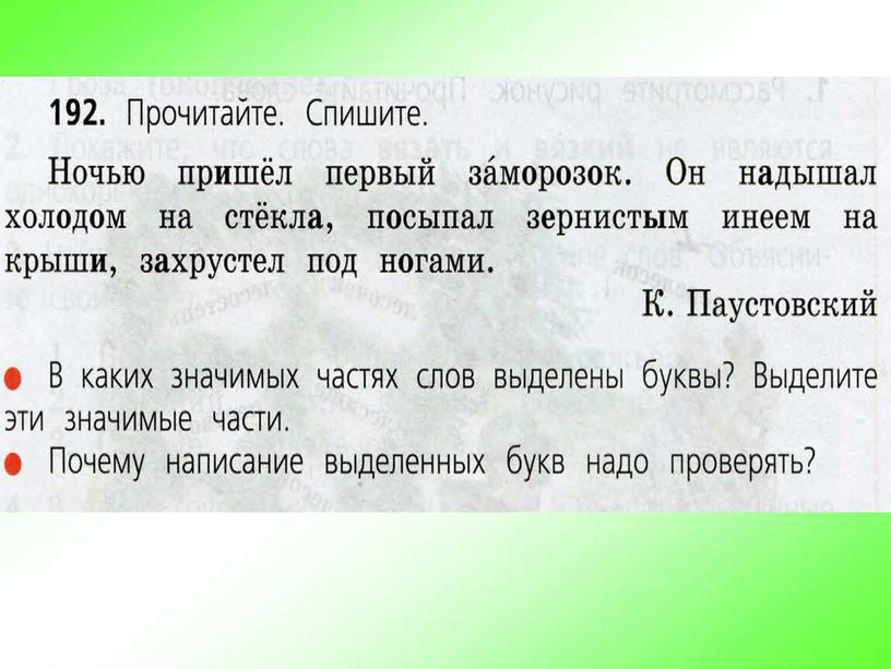 Презентация по русскому языку