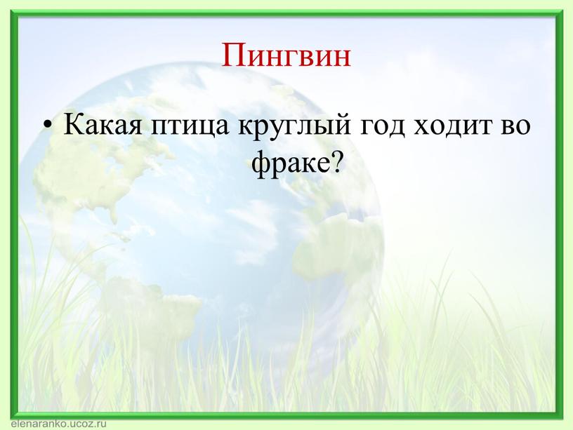 Пингвин Какая птица круглый год ходит во фраке?