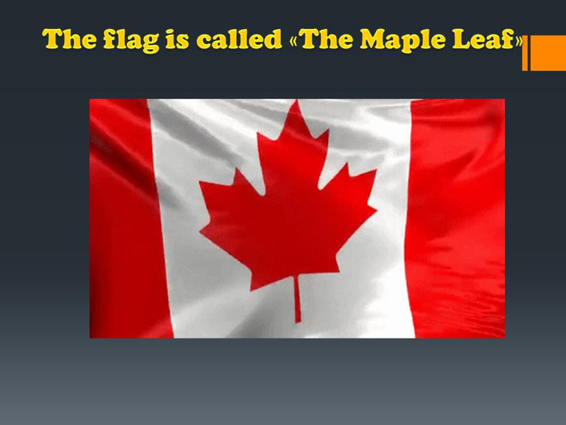 The flag is called «The Maple Leaf»