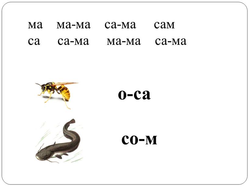 ма ма-ма са-ма сам са са-ма ма-ма са-ма о-са со-м