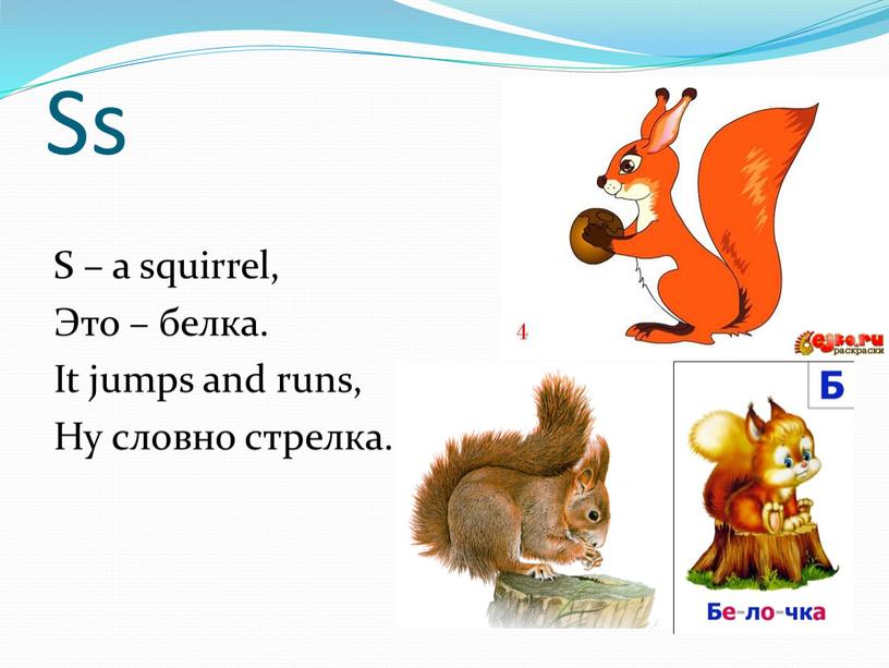 Ss S – a squirrel, Это – белка