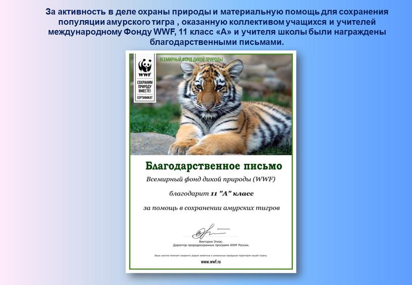 За активность в деле охраны природы и материальную помощь для сохранения популяции амурского тигра , оказанную коллективом учащихся и учителей международному