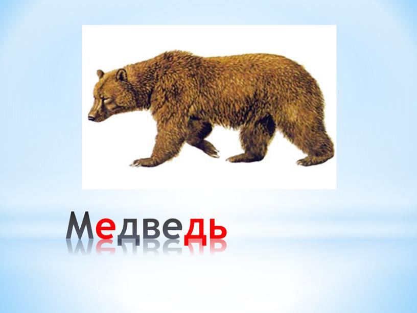 Медведь