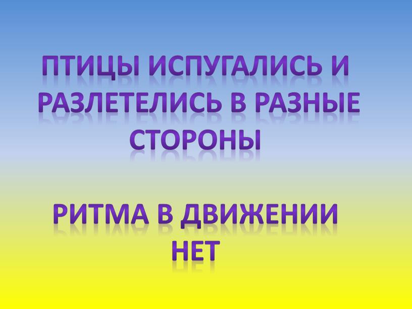 Птицы испугались и разлетелись в разные стороны