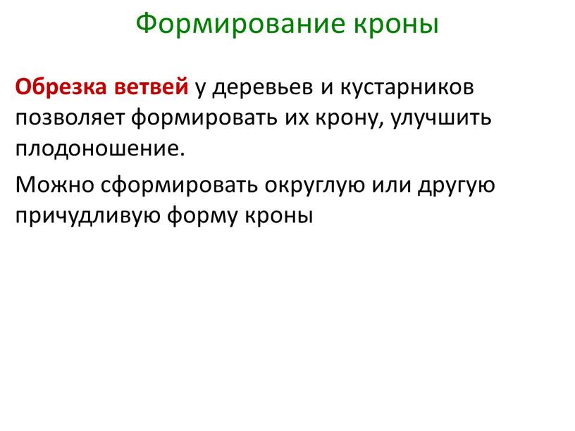 Формирование кроны Обрезка ветвей у деревьев и кустарников позволяет формировать их крону, улучшить плодоношение