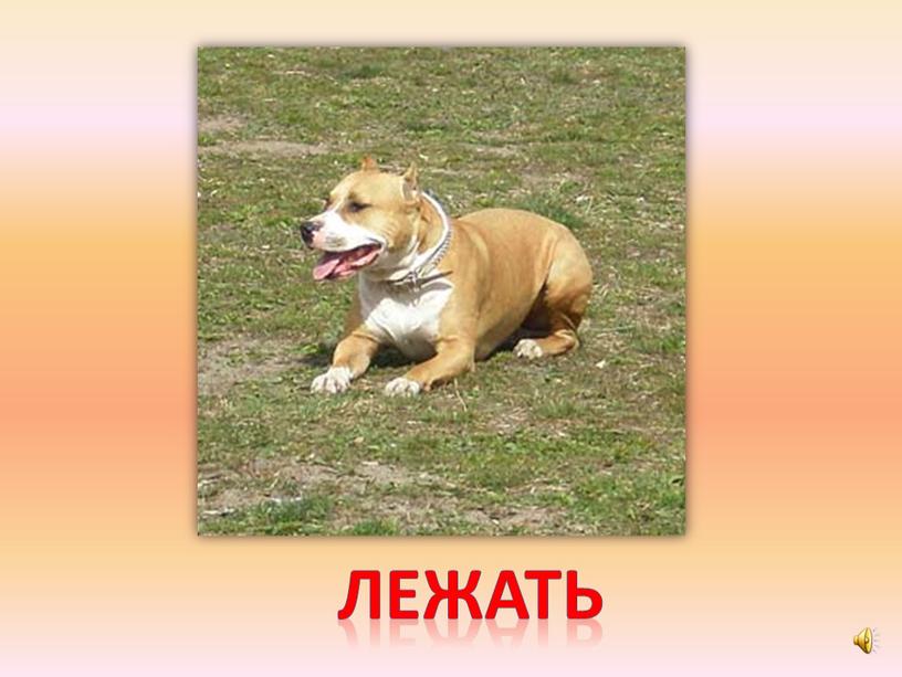 лежать