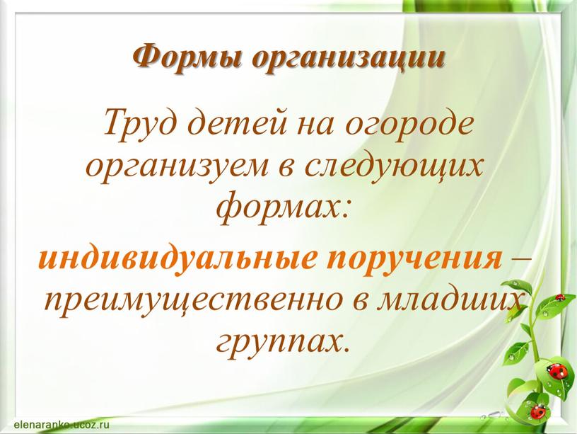 Формы организации Труд детей на огороде организуем в следующих формах: индивидуальные поручения – преимущественно в младших группах