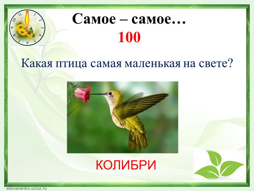 Какая нить в природе самая тонкая. Смотреть фото Какая нить в природе самая тонкая. Смотреть картинку Какая нить в природе самая тонкая. Картинка про Какая нить в природе самая тонкая. Фото Какая нить в природе самая тонкая
