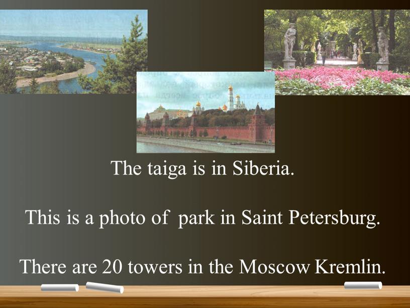 The taiga is in Siberia. This is a photo of park in