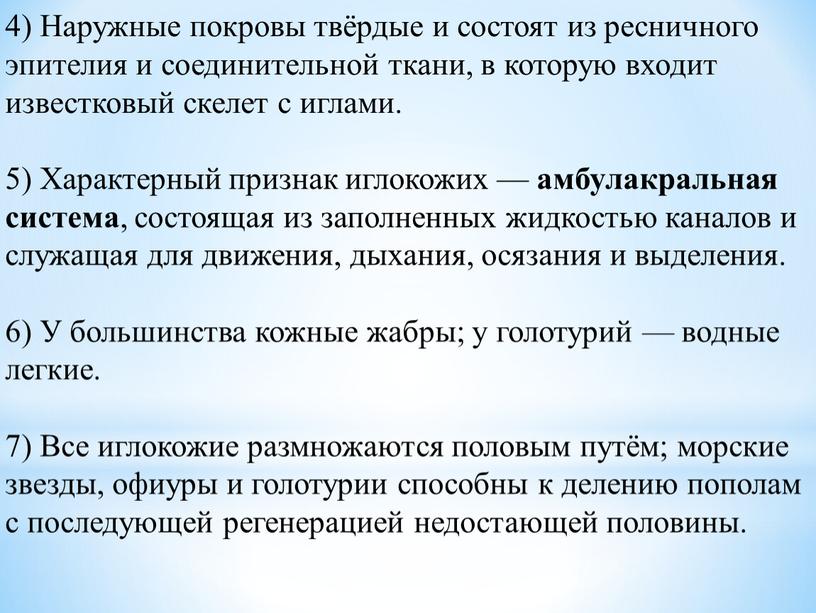 Наружные покровы твёрдые и состоят из ресничного эпителия и соединительной ткани, в которую входит известковый скелет с иглами