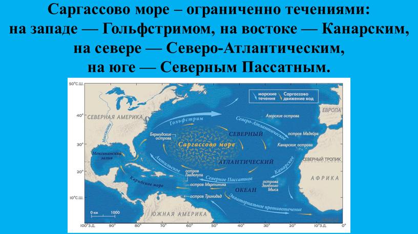 Саргассово море – ограниченно течениями: на западе —