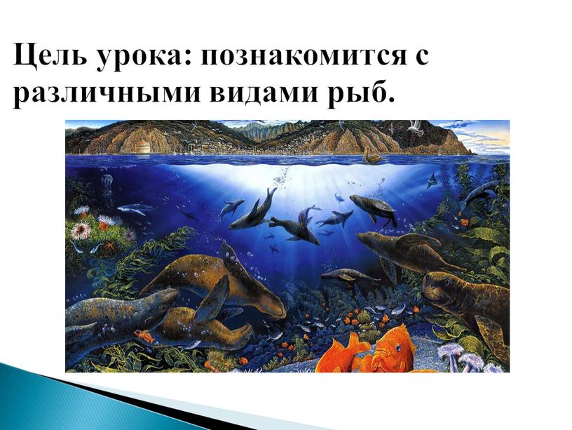 Цель урока: познакомится с различными видами рыб