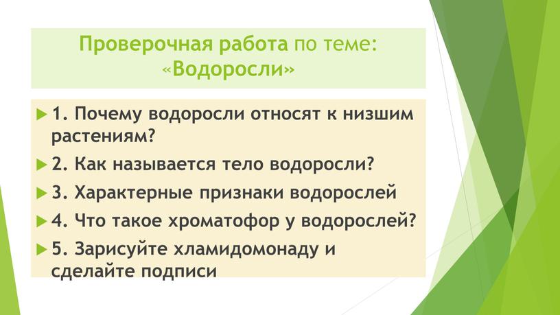 Проверочная работа по теме: «