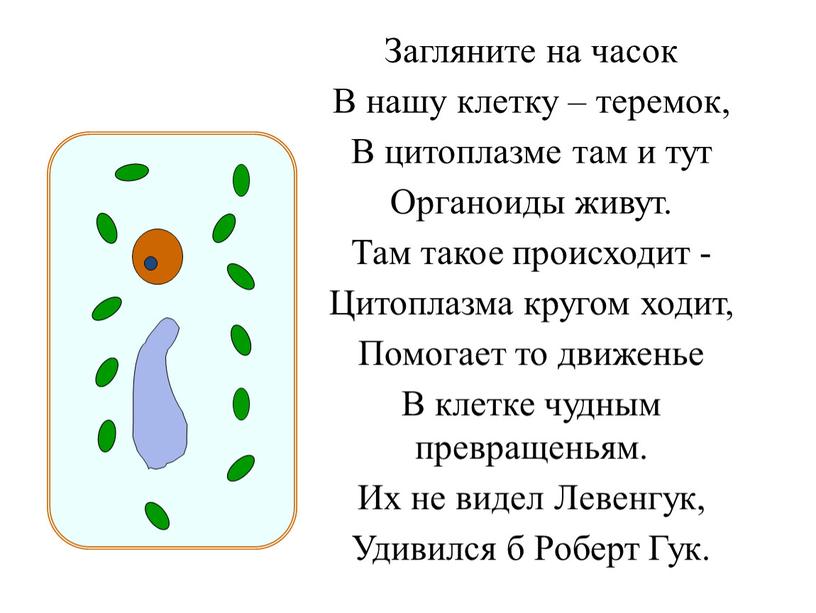 Загляните на часок В нашу клетку – теремок,