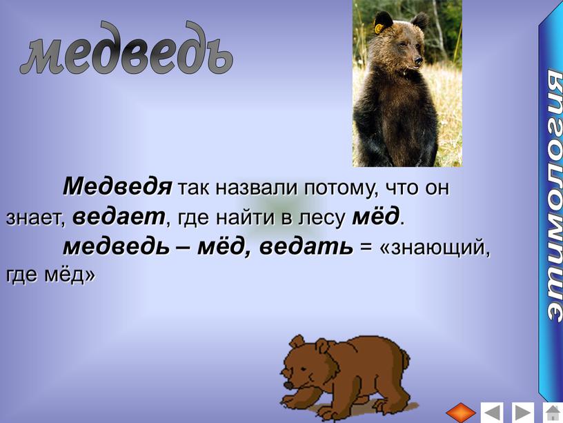 Медведя так назвали потому, что он знает, ведает , где найти в лесу мёд