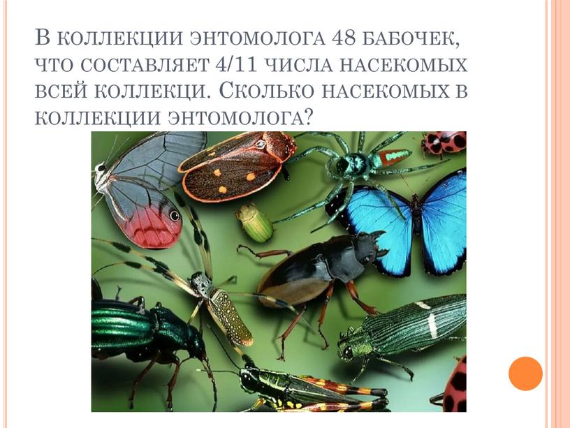 В коллекции энтомолога 48 бабочек, что составляет 4/11 числа насекомых всей коллекци