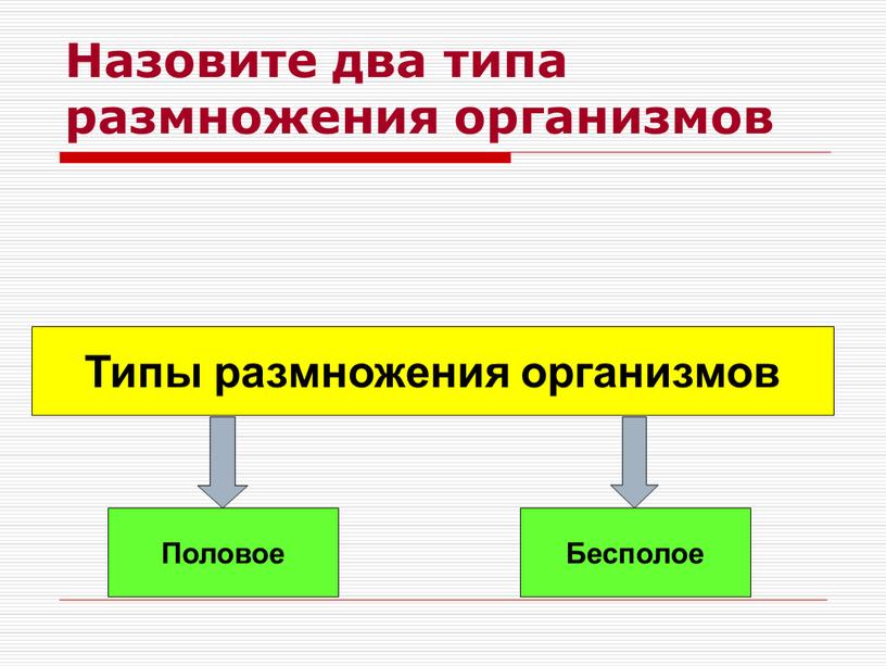 Назовите два типа размножения организмов