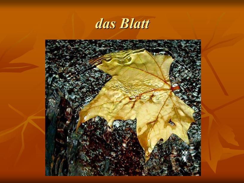 das Blatt