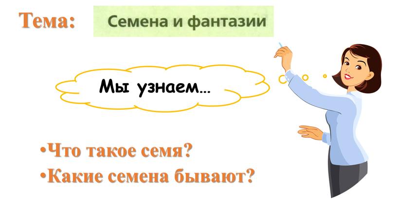 Мы узнаем… Что такое семя? Какие семена бывают?