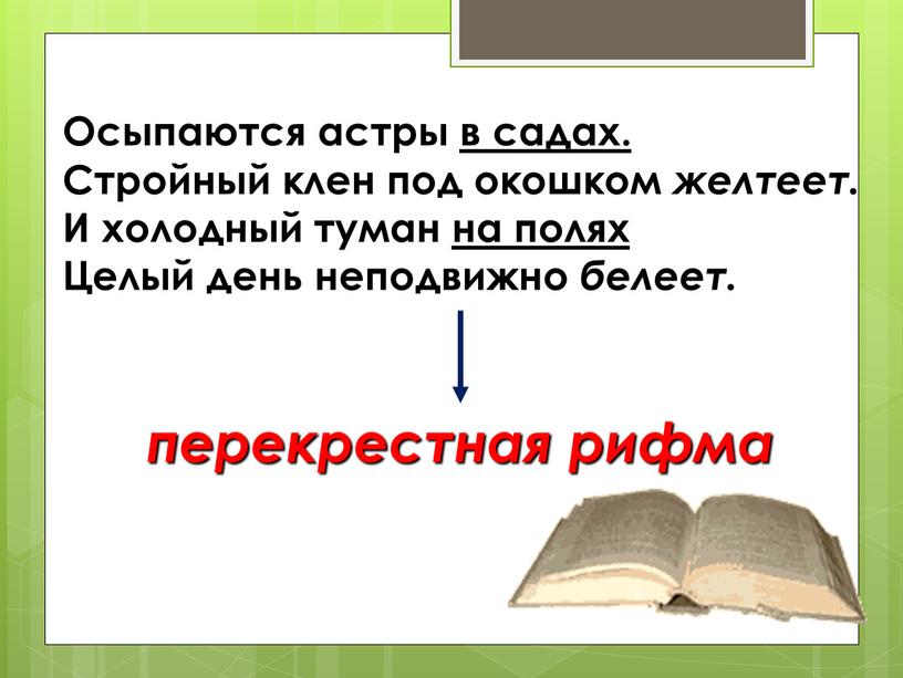 Осыпаются астры в садах. Стройный клен под окошком желтеет