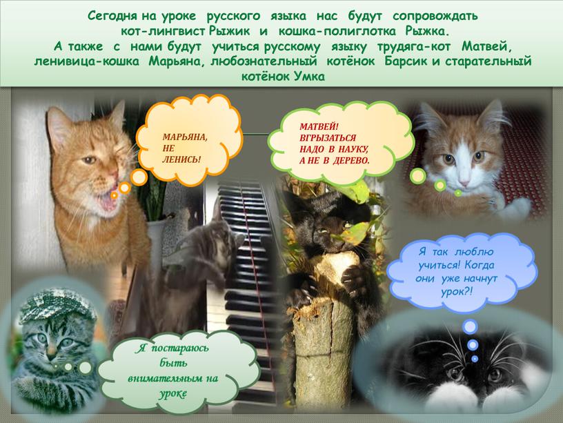 Сегодня на уроке русского языка нас будут сопровождать кот-лингвист