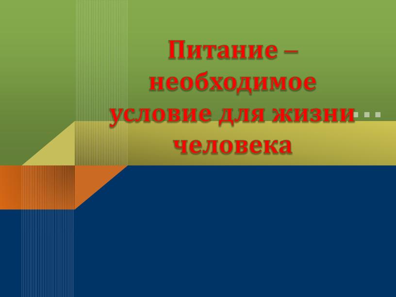 Питание –необходимое условие для жизни человека