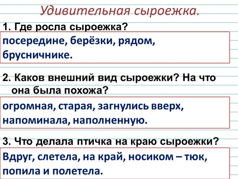 Где росла сыроежка? Каков внешний вид сыроежки?