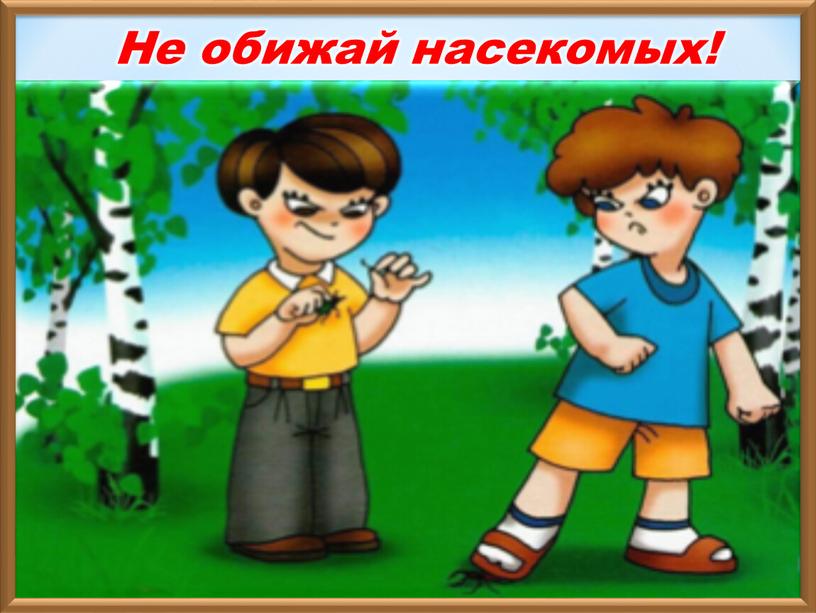 Не обижай насекомых!