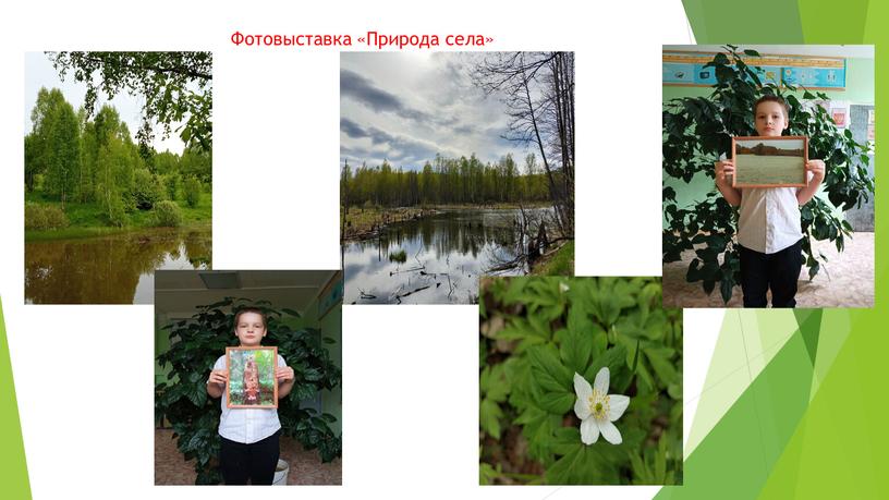 Фотовыставка «Природа села»