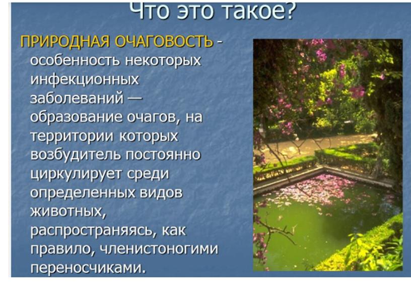 Значение млекопитающих, 8 класс, биология