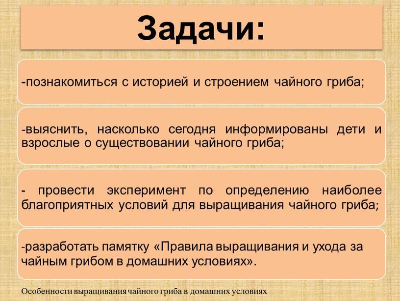 Задачи: Особенности выращивания чайного гриба в домашних условиях