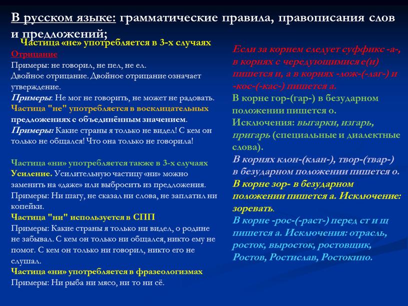 В русском языке: грамматические правила, правописания слов и предложений;