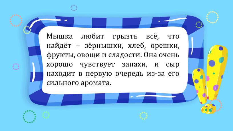 Мышка любит грызть всё, что найдёт – зёрнышки, хлеб, орешки, фрукты, овощи и сладости