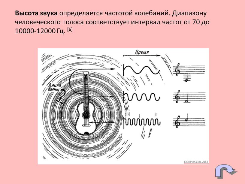 Высота звука определяется частотой колебаний