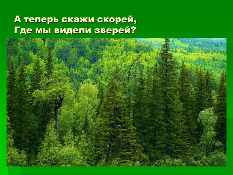 А теперь скажи скорей, Где мы видели зверей?