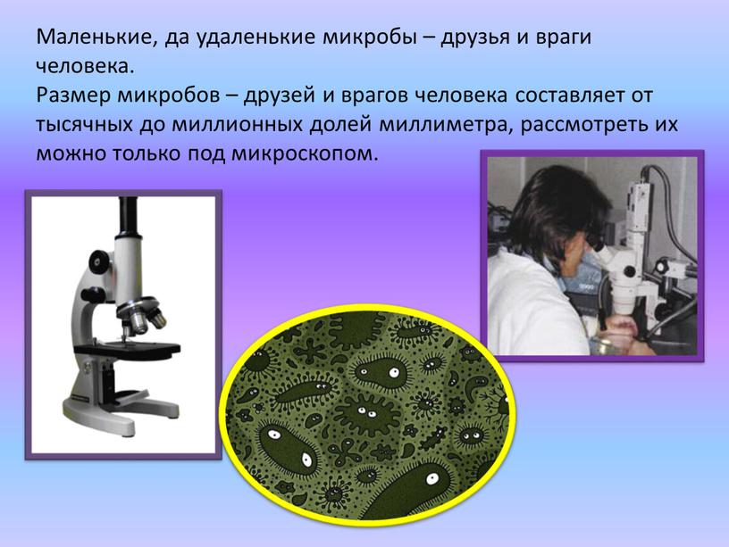 Маленькие, да удаленькие микробы – друзья и враги человека