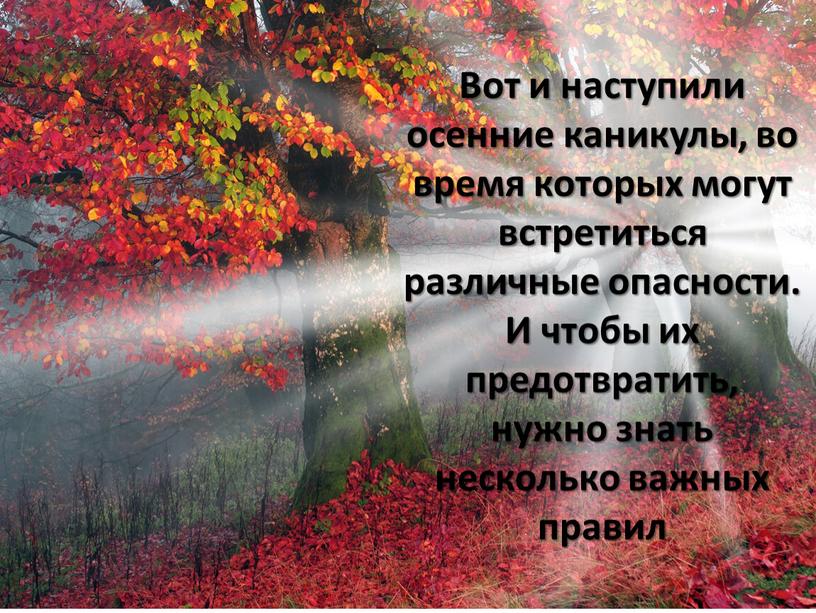 Вот и наступили осенние каникулы, во время которых могут встретиться различные опасности