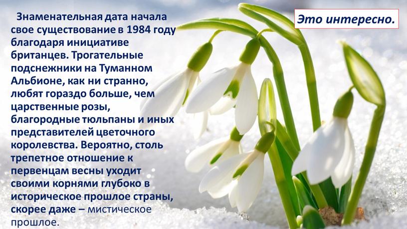 Знаменательная дата начала свое существование в 1984 году благодаря инициативе британцев