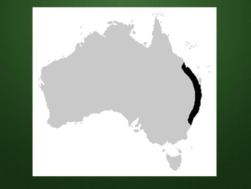 Земноводные австралии