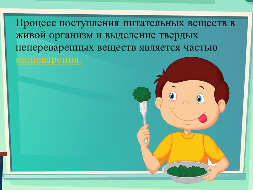 Процесс поступления питательных веществ в живой организм и выделение твердых непереваренных веществ является частью пищеварения