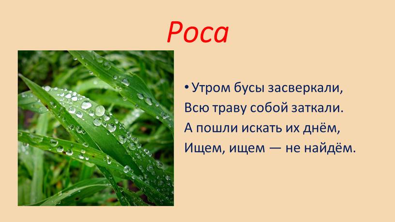 Роса Утром бусы засверкали, Всю траву собой заткали