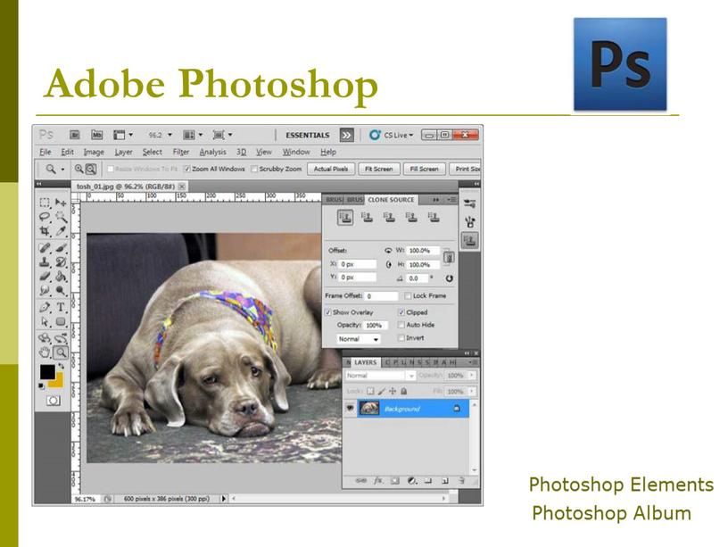 Adobe Photoshop Photoshop Elements