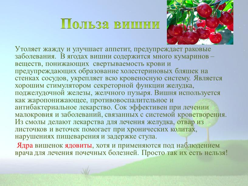 Польза вишни Утоляет жажду и улучшает аппетит, предупреждает раковые заболевания