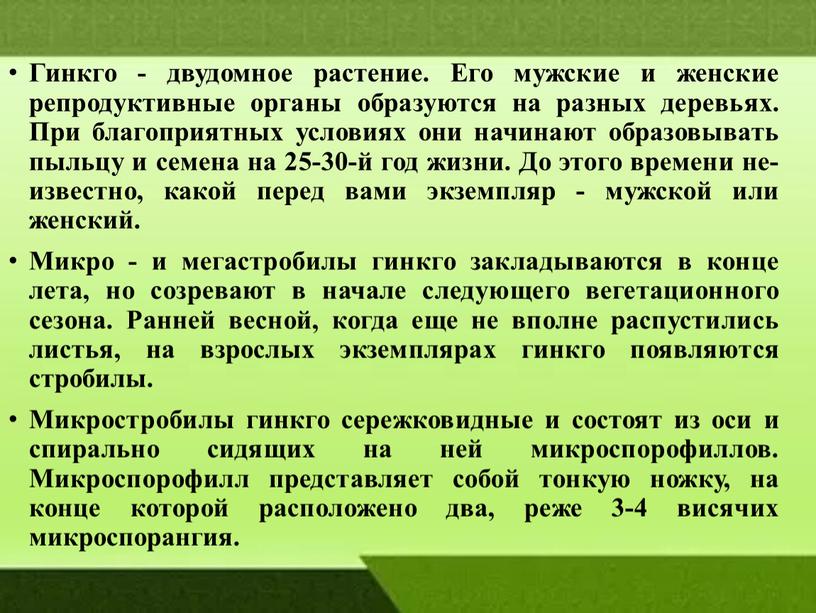 Гинкго - двудомное растение. Его мужские и женские репродуктивные органы образуются на разных деревьях