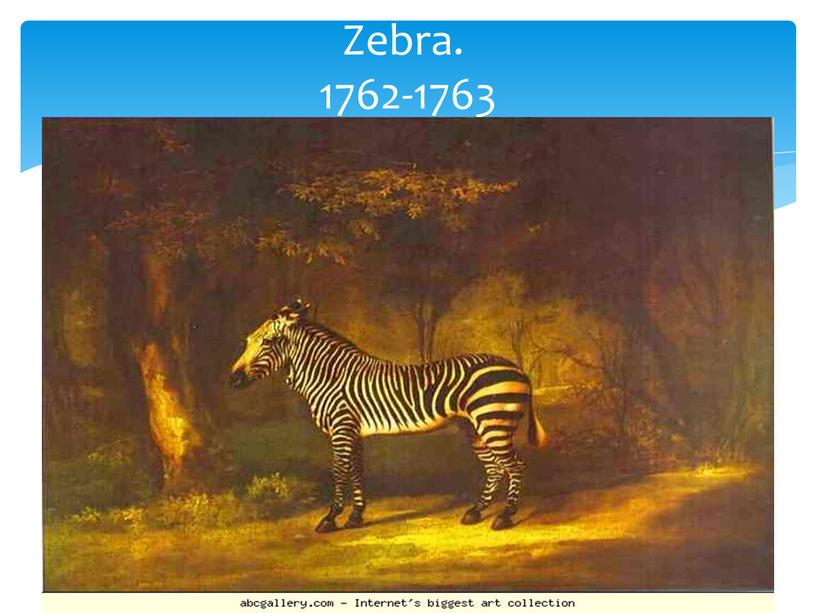 Zebra. 1762-1763